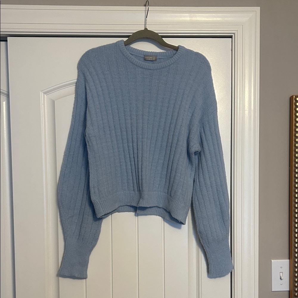 NWOT. Francesca's Collections Light Blue Ribbed Sweater